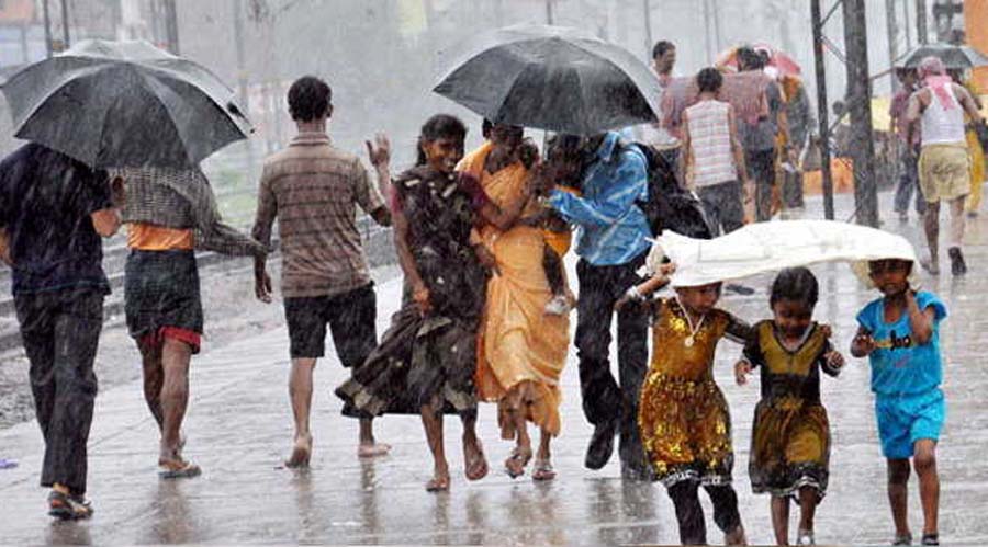 Monsoon, Maharashtra, Died, Falling, Lightning, Rain