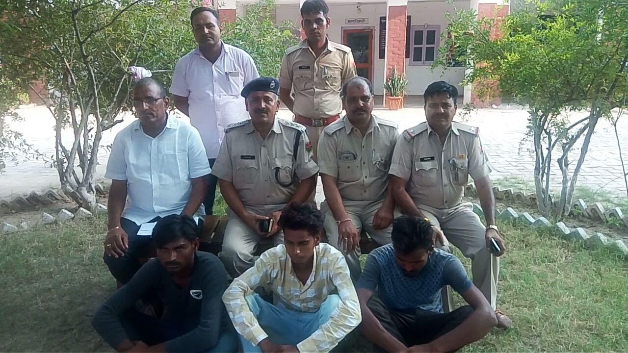 Arrested, Theft, Accused, Police, Remand, Rajasthan