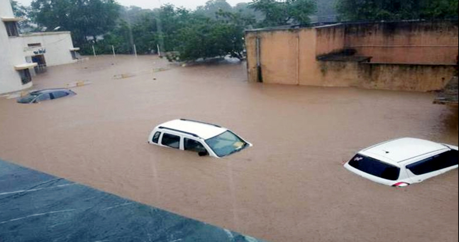 Flood Havoc, Rajasthan, Maharashtra, Died, Animal, Mount Abu