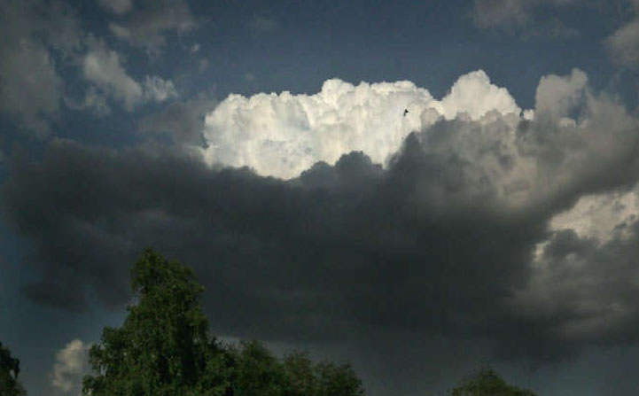 Dry Monsoon, Knock, Rain, Weather Department, Rajasthan