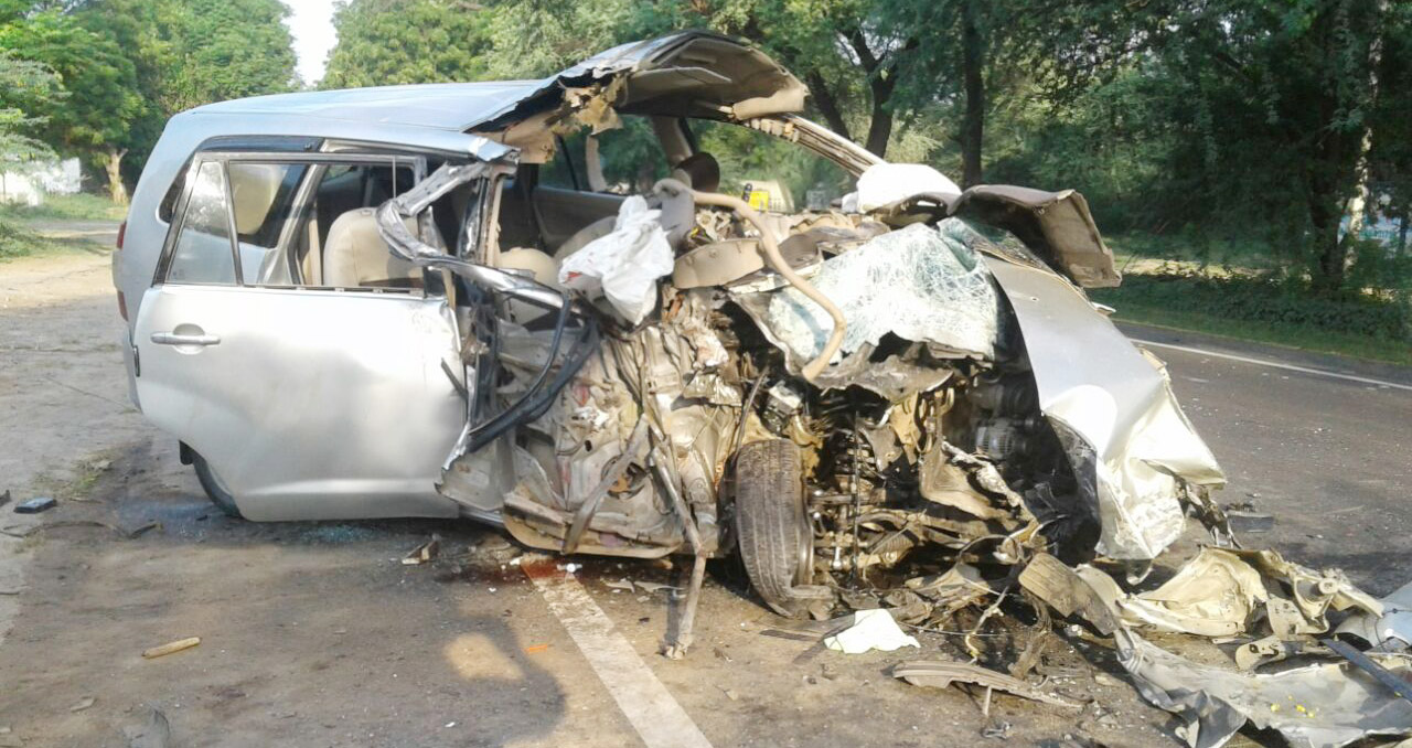 Vagabond Animal, Lives, Vehicle, Accident, Death, Injured, Punjab