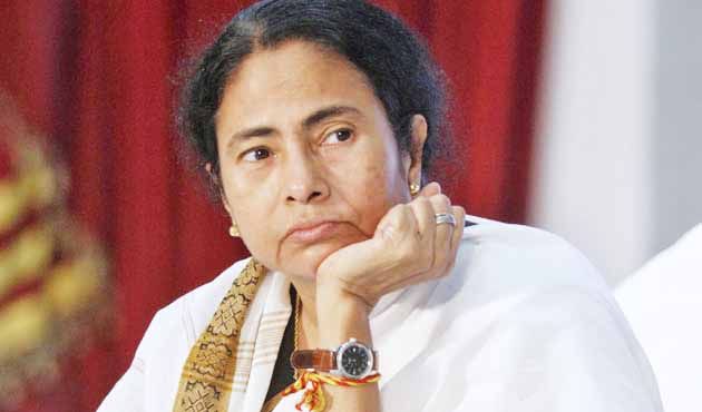 Political, Democratic System, Government, Mamata Banerjee