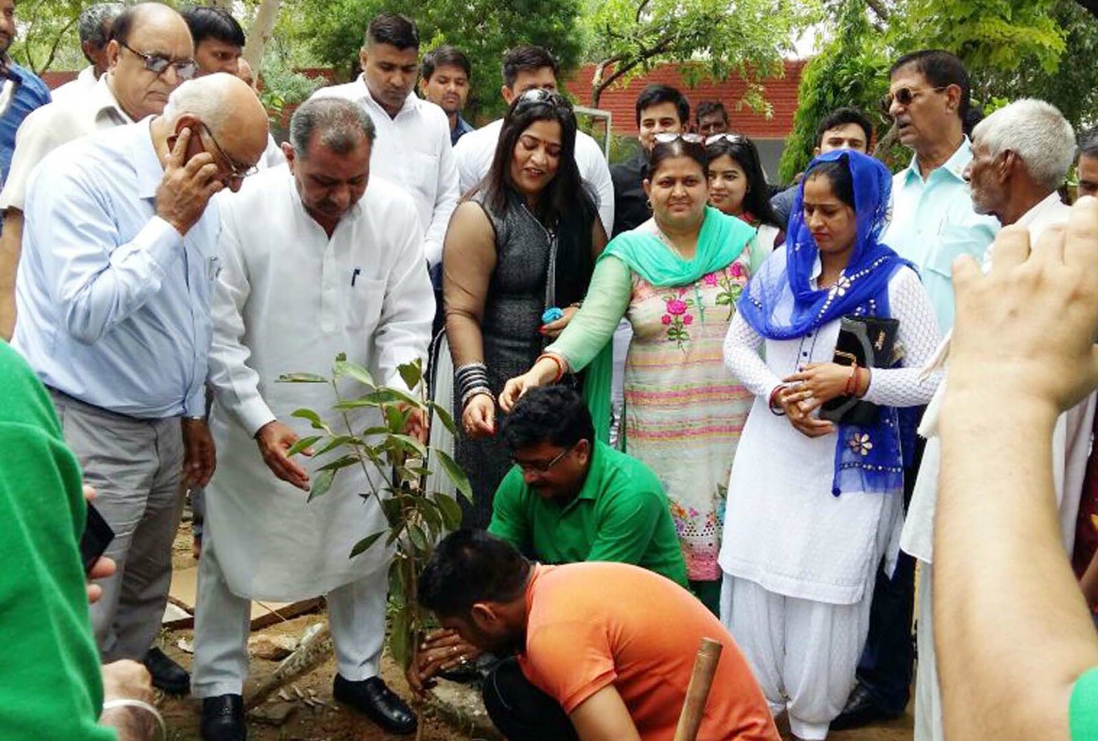 Target, Saplings, Campaign, Haryana