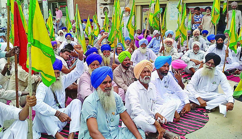 Indian Farmer Union, Protest, Bank, Blame, Punjab