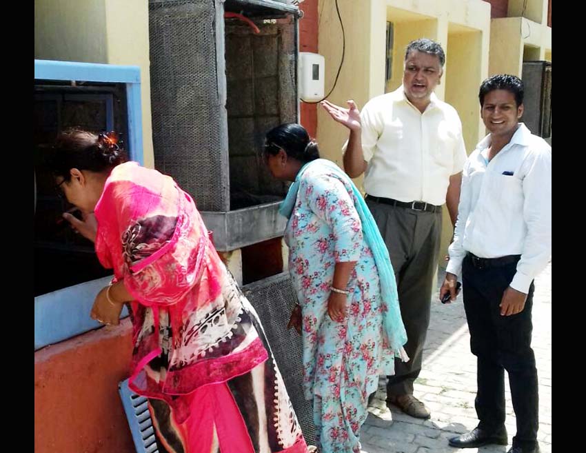 Dengue Larvae, Coolers, Challan, Health Department, Punjab