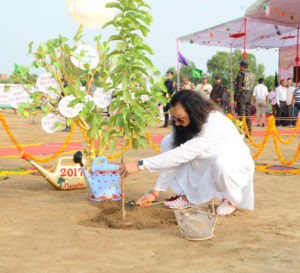 Mega Tree Plantation, Gurmeet Ram Rahim, Dera Sacha Sauda, Environment