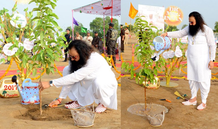 Mega Tree Plantation, Gurmeet Ram Rahim, Dera Sacha Sauda, Environment