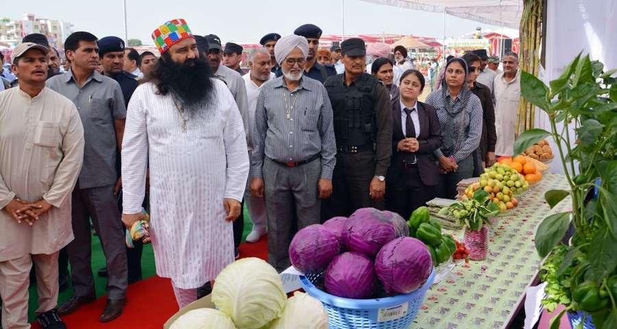 Dera Sacha Sauda, Gurmeet Ram Rahim, Helps, Anndata Bachao Campaign