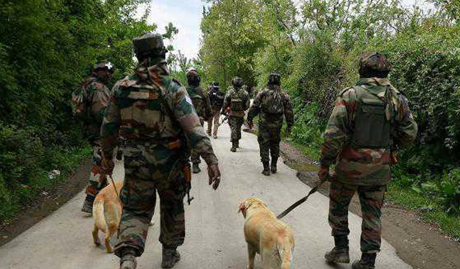 Security Forces, Launch, Caso, South Kashmir