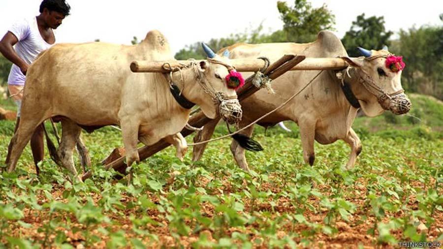 Increasing, Income, Farmers, Israeli Technology