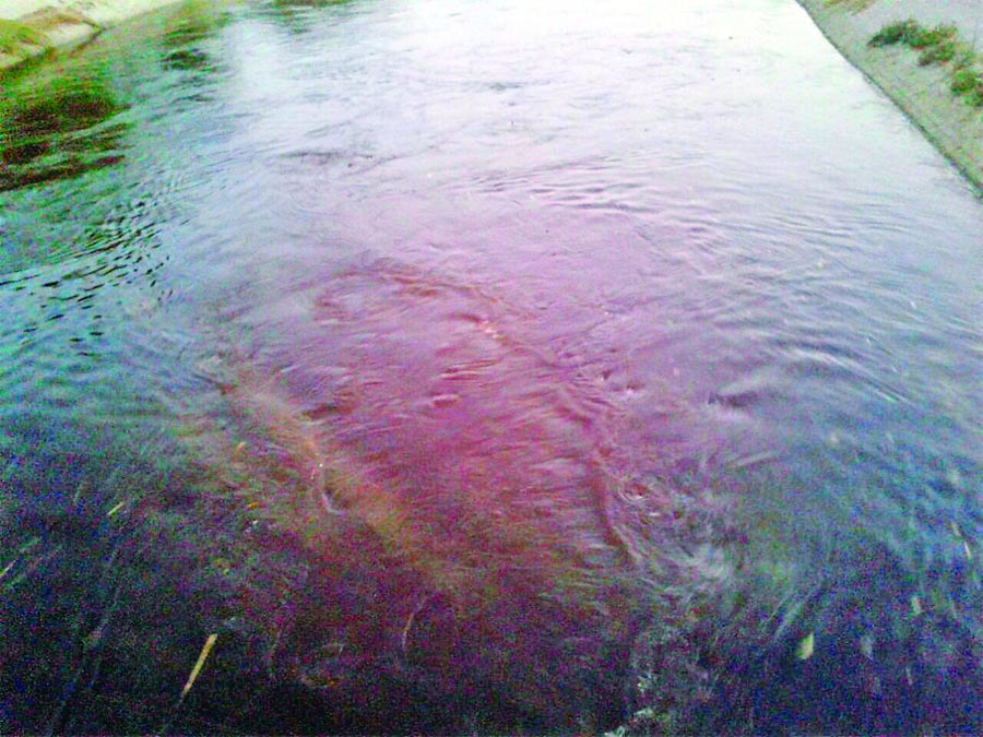 Polluted water, Punjab, Sriganganagar 