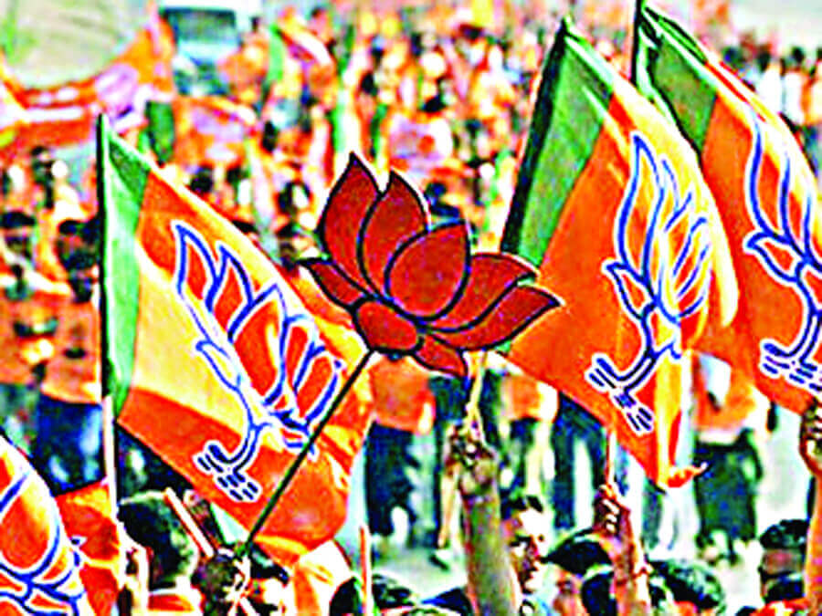 BJP, Effort, Allies