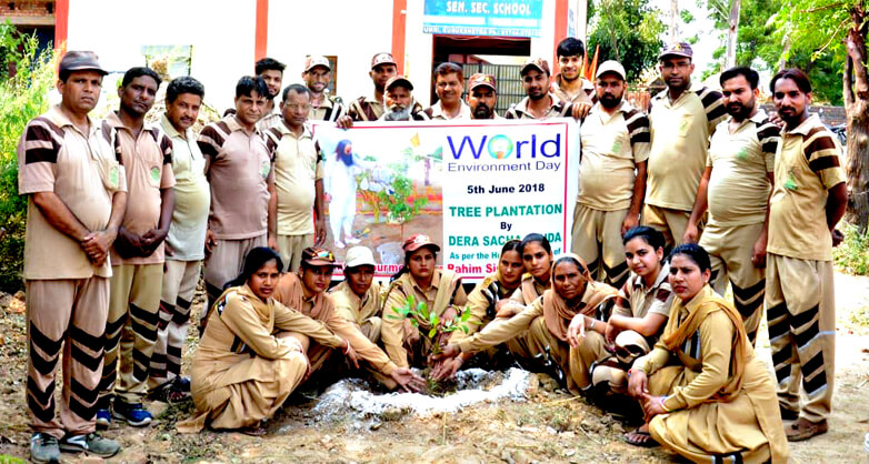 Tree Planting, Dera Sacha Sauda, Saint Dr. MSG