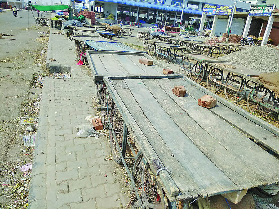 Modern AC Vegetable Market, Punjab