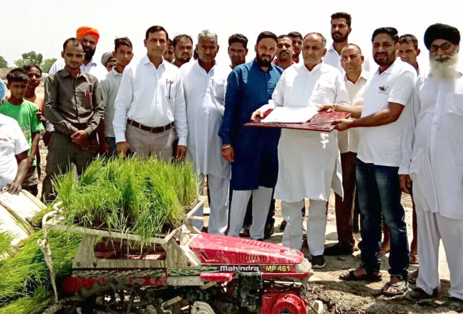 Farmers, Using, Paddy, Transplant, Machine