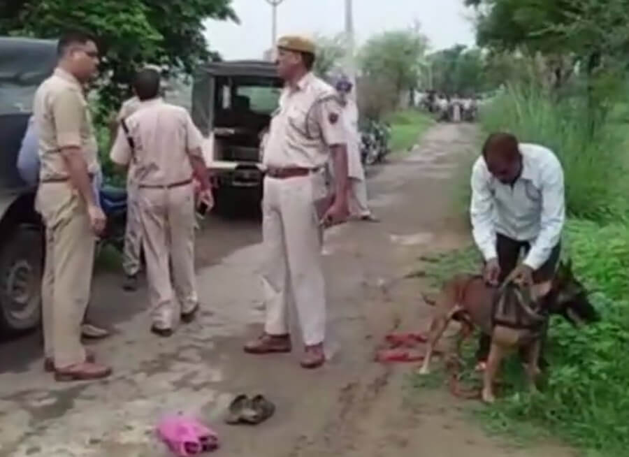 Cow Trafficking Case, Alwar, dead, Rajsthan