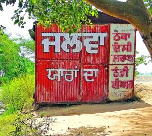 Tree Plantation Area, Covered, Liquor Shops, Punjab