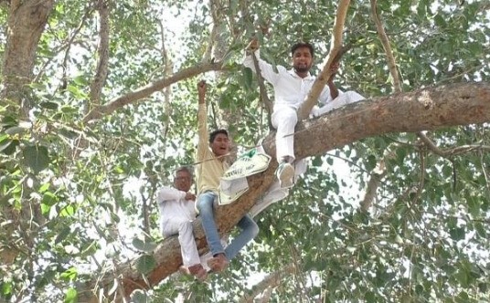 Farmers
