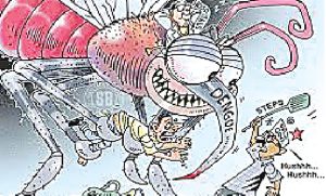Three die from dengue in Munic during two weeks