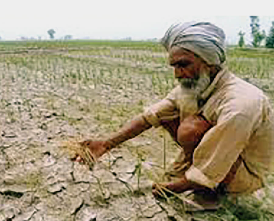 Jai Jawan, The Farmer Disturbed