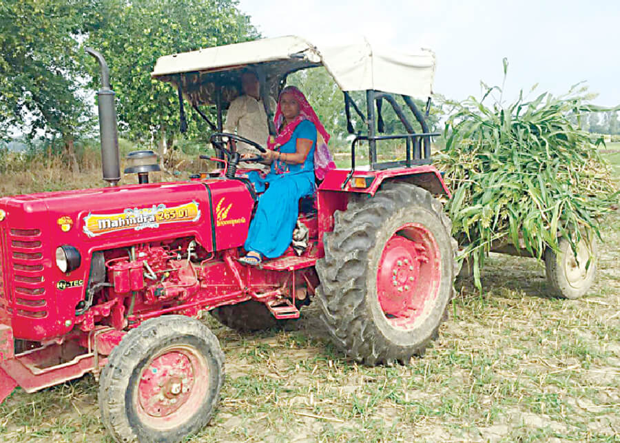 Husband Serving The Army And Wife Handling Farming