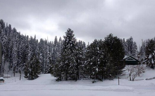 Snow in J&k