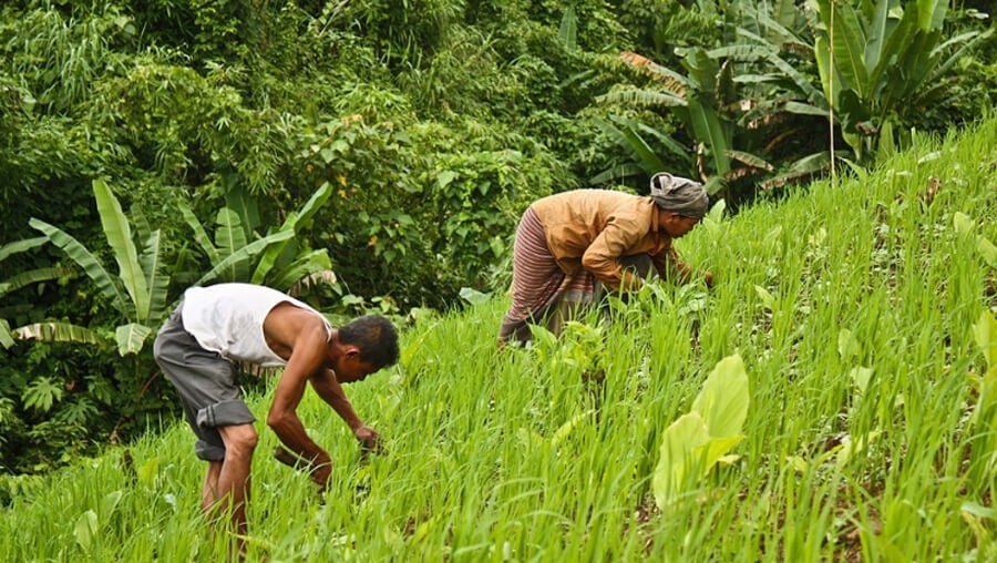 Permanent, Resolve, Farmers, Income