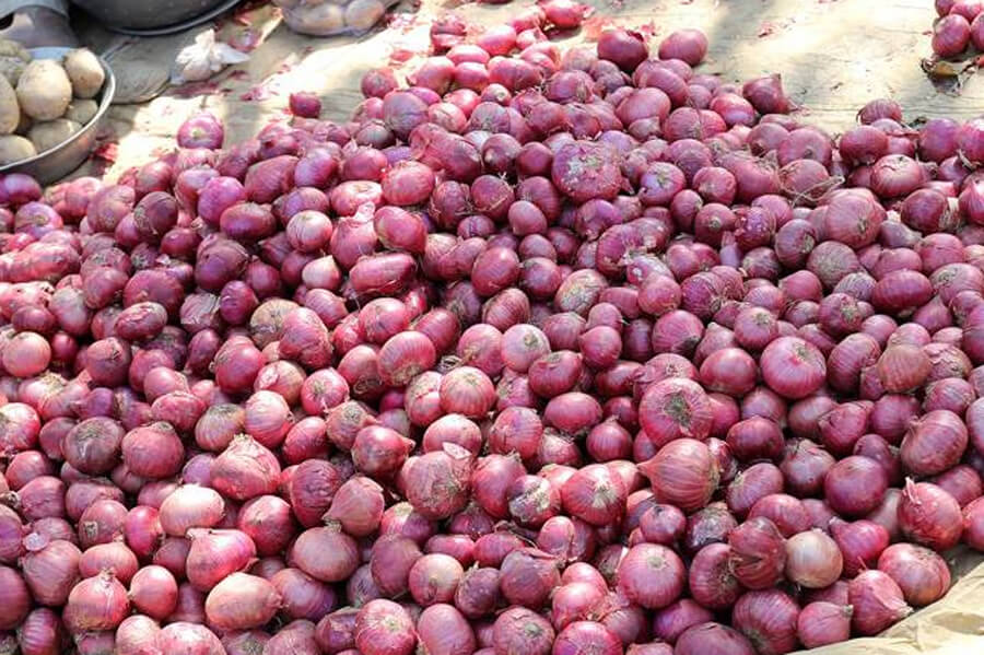 Maharashtra: The Farmers Got Only 1064 Rupees Of 750 Kg Of Onion In The Mandi, The Amount Sent To The Prime Minister In Anger