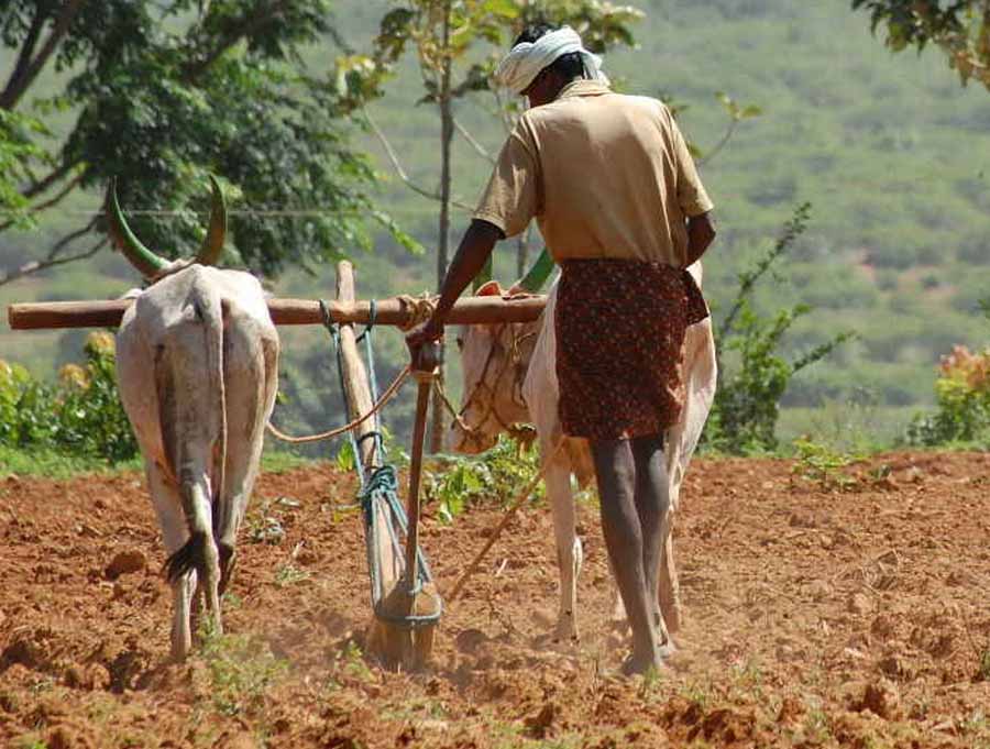 Farmers Hard Work