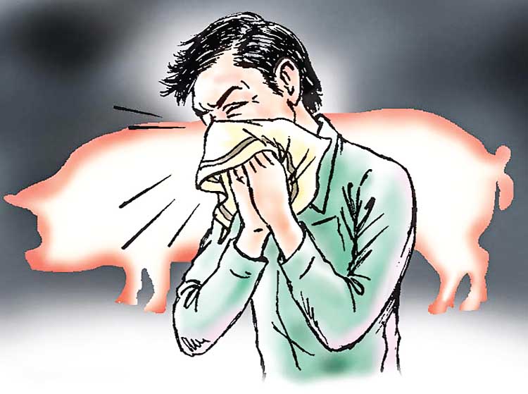 Swine flu in Rajasthan