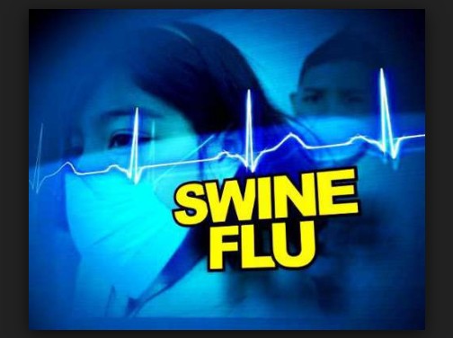 Swine flu