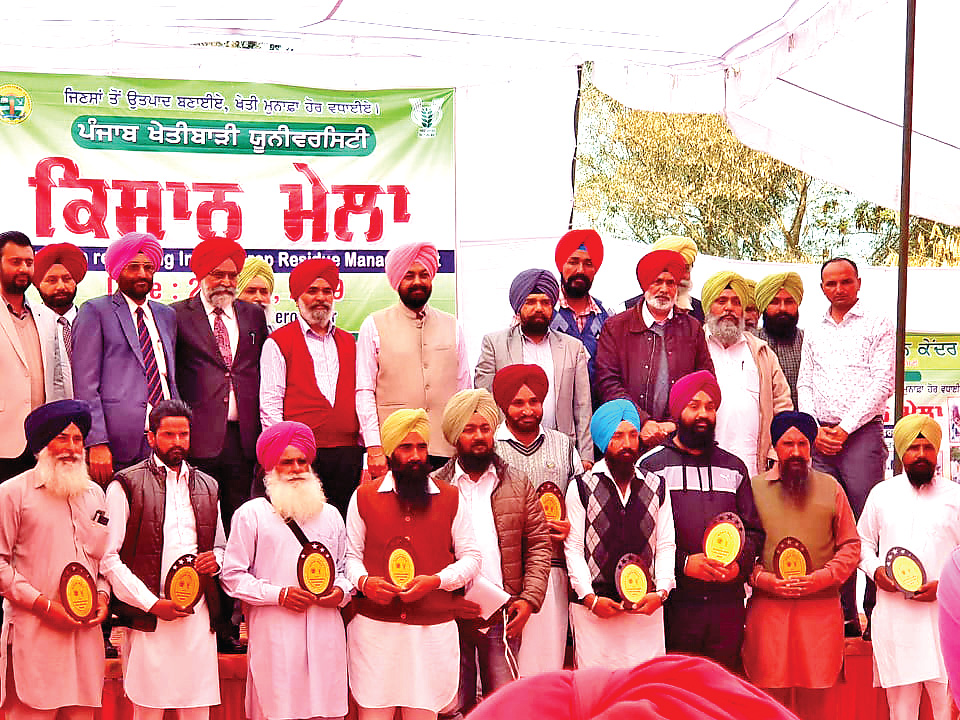 More Than 30 Progressive Farmers, Honored, Punjab