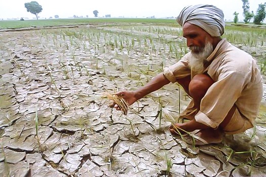 Farmers in the center of politics