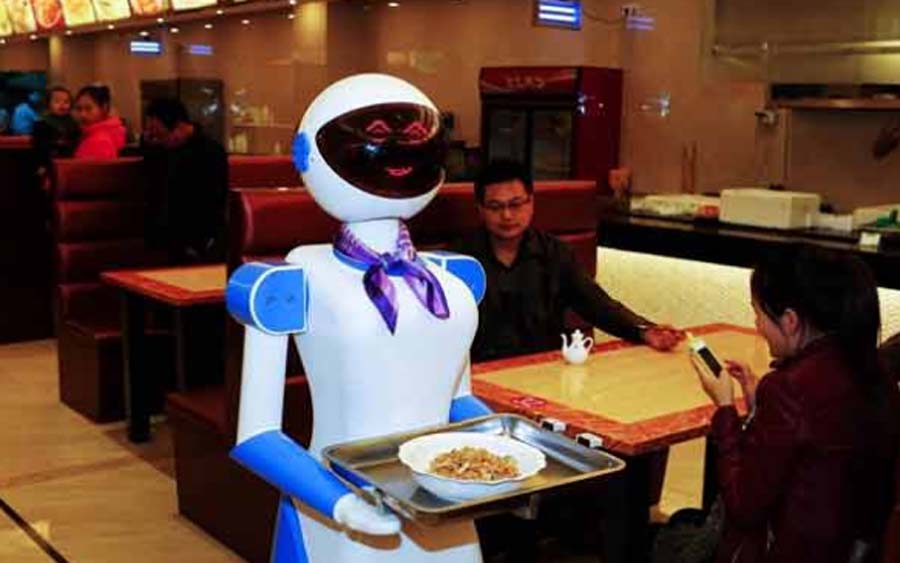 Foods, Serve, Customers, Robot