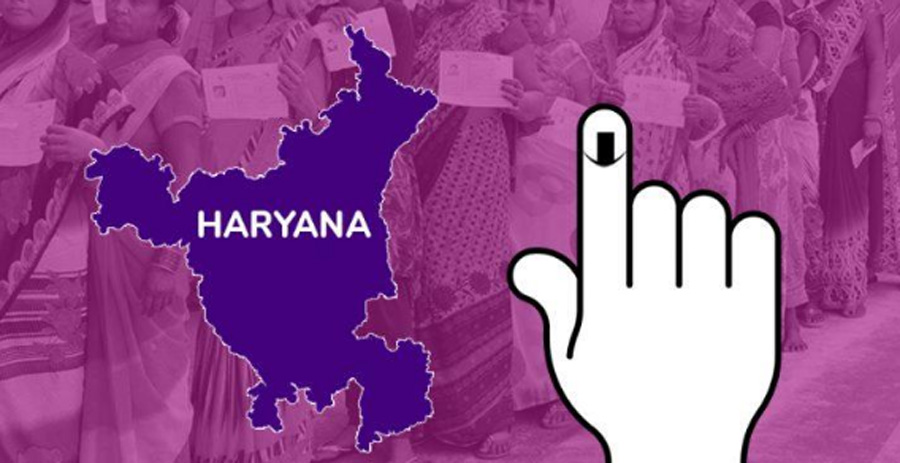 Lok Sabha, Elections, Haryana