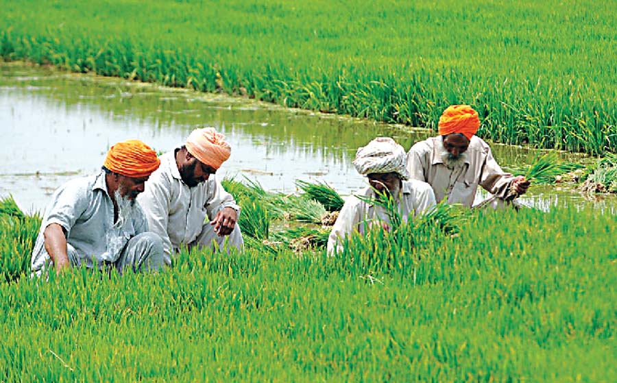 agricultural operation