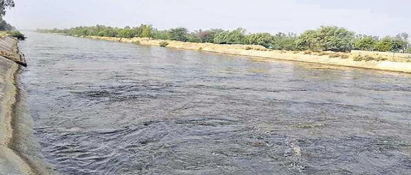 Common strategies against polluted water in Punjab and Rajasthan canals