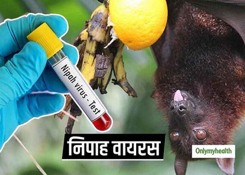 Nipah virus, sample of six people nagative