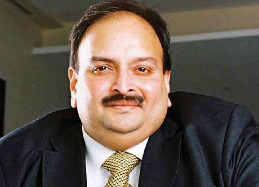pnb scam ed says in the bombay high court the choksi is fugitive his petitions are canceled