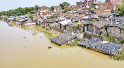 Nervous system ahead of the waste of flood