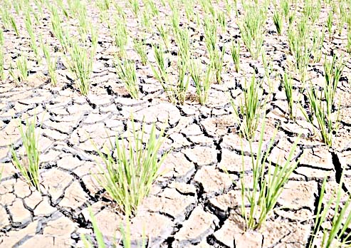 Serious conditions like drought in 18 states