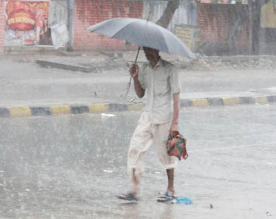 Rain deficiency in five districts of Rajasthan