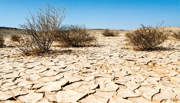 barren land Sign of serious crisis