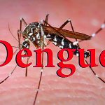 National Dengue Day
