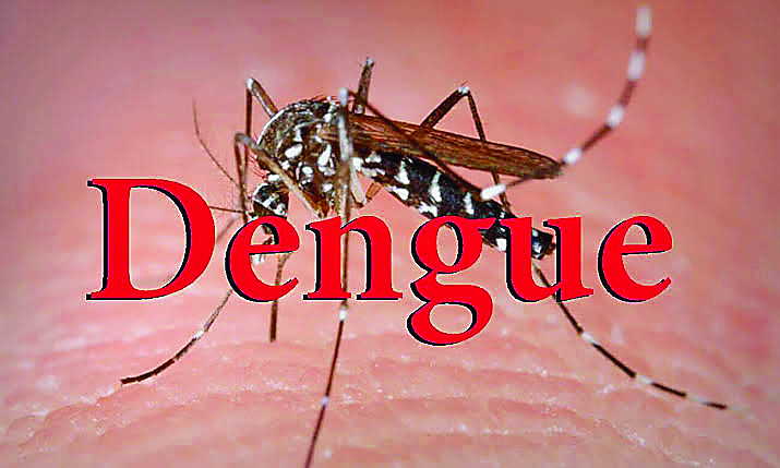 Dengue | रूके हुए पानी में पनपता हैं, मच्छर: उपायुक्त | sachkahoon.com |