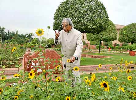 APJ Abdul Kalam