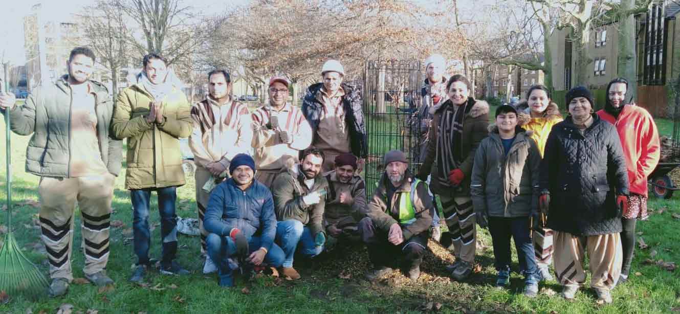 Trees Plantation