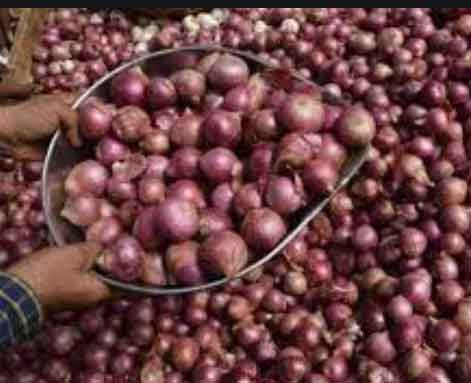 This year will be remembered for the record breaking price of onion