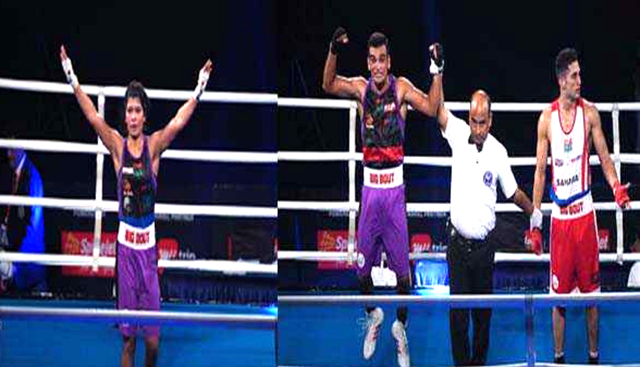 big bout indian boxing league
