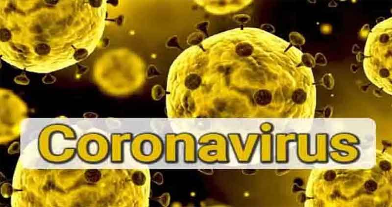 Coronavirus Infects Kidney